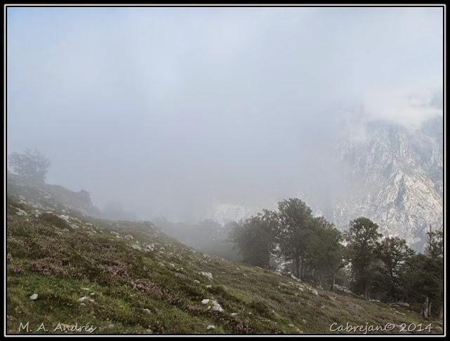 Picos 415 Picos 415