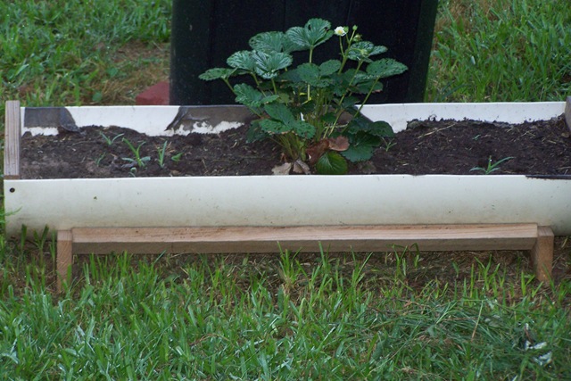 [101_0030%255B2%255D.jpg]