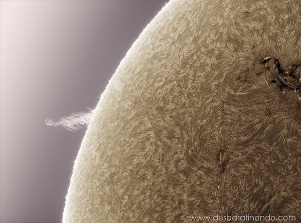hd-photographs-of-the-sun-alan-friedmans- (4) hd-photographs-of-the-sun-alan-friedmans- (4)