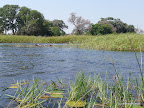 Okavangodelta