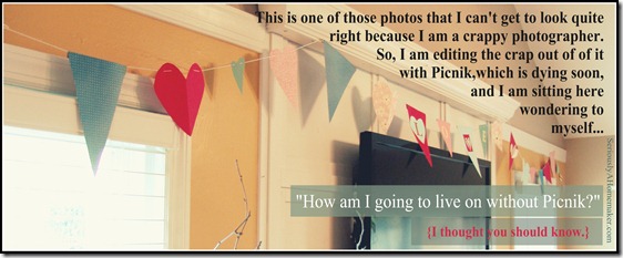 death of picnik valentine garland