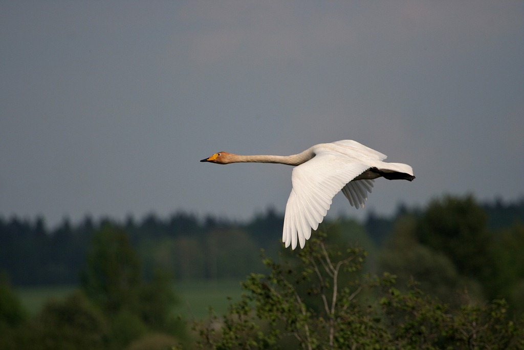 [IMG_6607%255B2%255D.jpg]