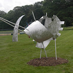 CIMG0969.JPG