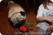 IMG_1865 IMG_1865
