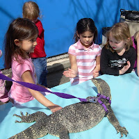 Animal Show