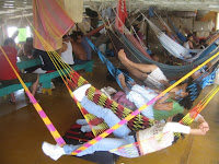 IMG_0775.jpg