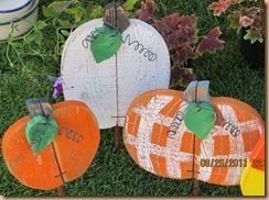 IMG_0312_1 IMG_0312_1