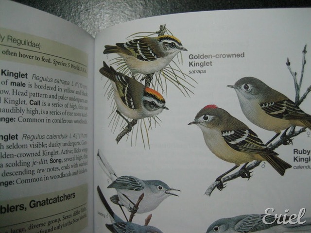 [gG%2520079%255B12%255D.jpg]