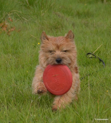 DSC_3540 DSC_3540