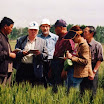 11b.jpg