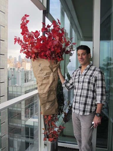 Martha Stewart Living's Stylist Tom Borgese has an order of gorgeous autumn branches and leaves soaking in water on my balcony. Martha Stewart Living's Stylist Tom Borgese has an order of gorgeous autumn branches and leaves soaking in water on my balcony.