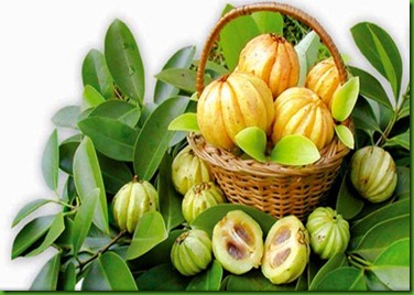 Garcinia cambogia