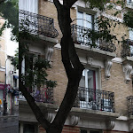 IreneBargués2.JPG