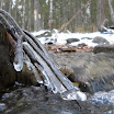 DSCN2918.jpg