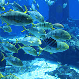IMG_4784.JPG