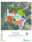 Fuel Model map  for the site
