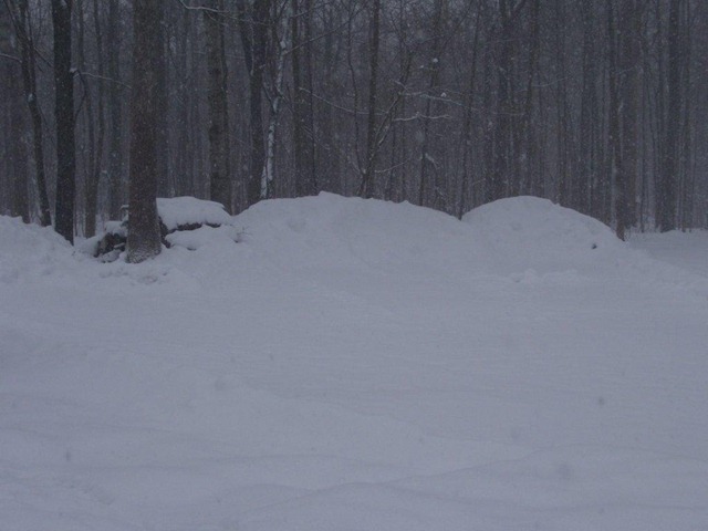 [new%2520snow%255B3%255D.jpg]