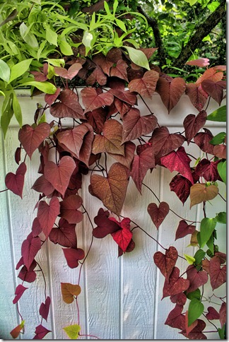 Hearts 2 Hearts 2