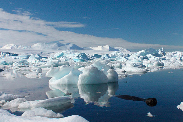 Changed patterns of deep sea circulation resulted in less sea ice around Antarctica at the end of the last ice age, part of a broader process that led to an influx of carbon dioxide in the atmosphere. This photo shows Antarctic sea ice today. Alister Doyle / REUTERS / File