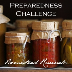 [Preparedness-Challenge-Button%255B2%255D.jpg]