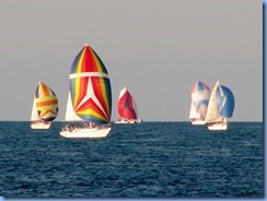 3698 Ontario Sarnia - Lake Huron - sailboat race