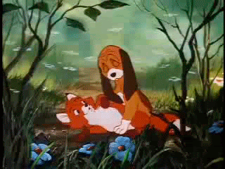 caoearaposa
