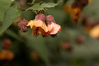 IMG_0140.JPG