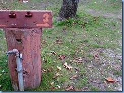 IMG_3953 IMG_3953