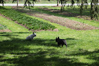 Sharkey, the grass smells so sweet!  And look at all of the flowers springing up in those beds!