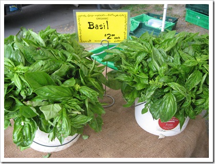 basil