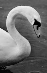 DSC_1136_2.jpg