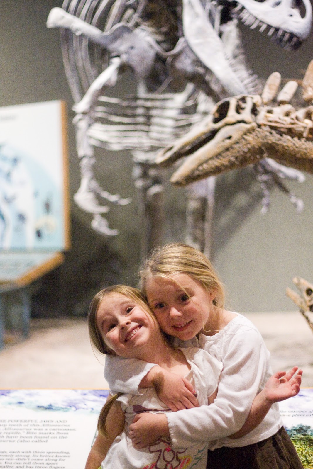 [11.19.12%2520dmns%2520soph%2520tess%2520dinosaur%2520exhibit%255B3%255D.jpg]
