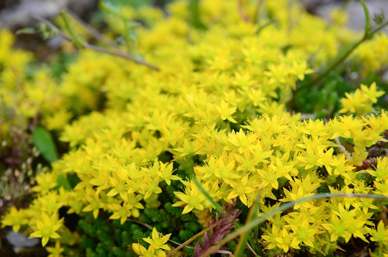 [chateau%252058%255B8%255D.jpg]