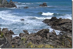 DSC_3127 DSC_3127