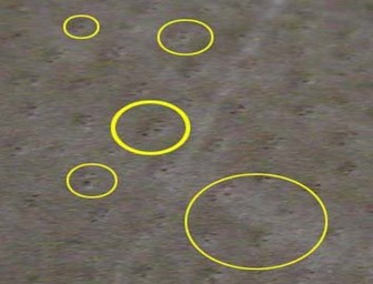 30110_118840458146534_100000617425823_157706_8150390_n 30110_118840458146534_100000617425823_157706_8150390_n