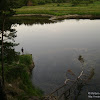 dsc03710.jpg