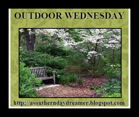 Outdoor-Wednesday-button_thumb1_thum[2]