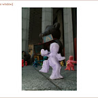 schwarz.3.jpg