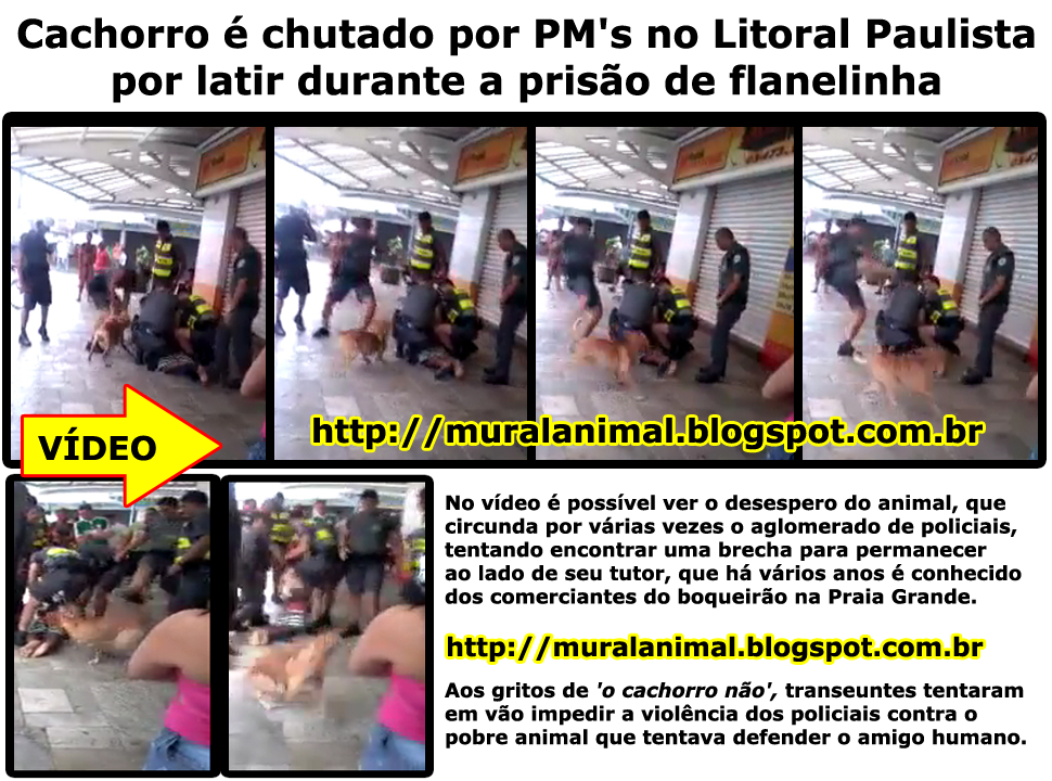 [cachorro_chutado_pms%255B3%255D.png]