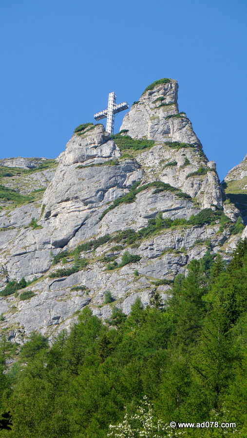 15.jpg 15.jpg
