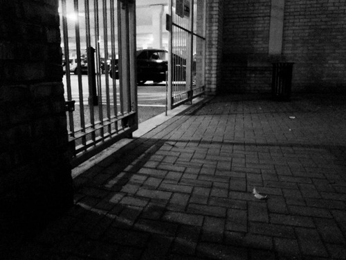 St-Marks-at-Dusk-15