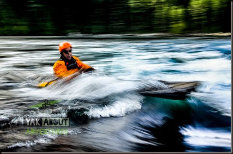 (c)Worldwildadventures-7366