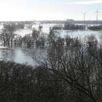 IMG_9473.JPG