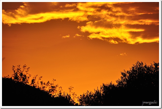 DSC_2269 DSC_2269