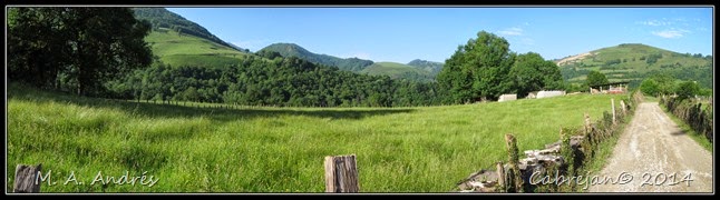 pano1 pano1