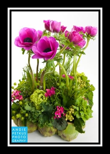 [anemones-and-artichokes-Franoise-Wee%255B1%255D.jpg]