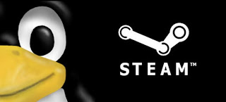 Steam per Linux: i primi 21 Giochi che approderanno