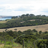 New Zealand