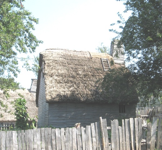 [Plimoth%2520Plant%2520rethatching%2520roof%2520of%2520house%255B3%255D.jpg]