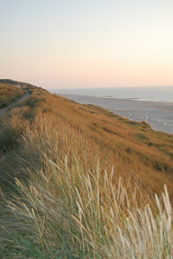 DSC_0347.JPG
